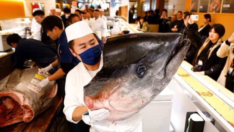 Subastan por más de un millón de dólares un atún rojo en Japón