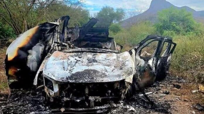 Muere maestro rural tras explotar una mina antipersonas en Michoacán