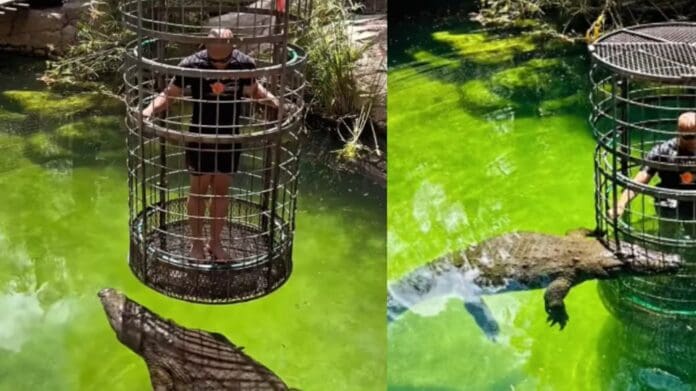 Hombre impresiona al probar una atracción extrema con cocodrilos en un zoológico