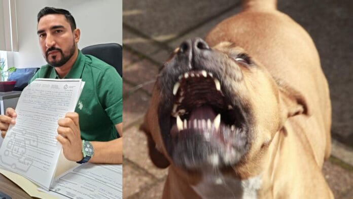 Activan protocolos por ataque de pitbull a dos menores en Villas del Sol