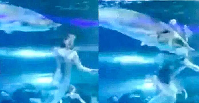 Video: Ataca colosal pez a una mujer en un acuario de China