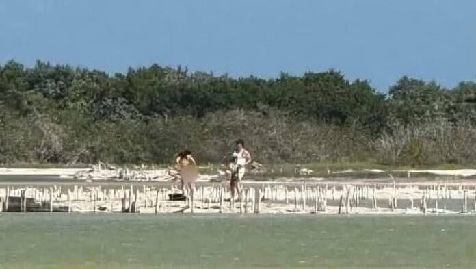 Captan a turistas en candente sesión de fotos eróticas en la Reserva Natural de Río Lagartos, Yucatán