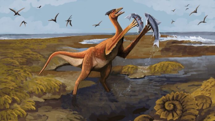 Encuentran nueva especie de dinosaurio en Coahuila; vivió hace 72 millones de años