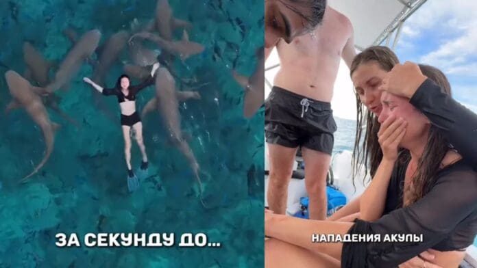 Influencer es atacada por un tiburón mientras grababa un video en Las Malvinas