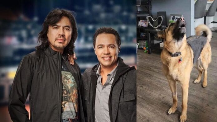 Video: Perrito canta al ritmo de Los Temerarios y se viraliza