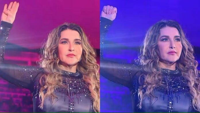 Video: Cantante Alicia Villarreal pide auxilio por violencia familiar en pleno concierto en Michoacán