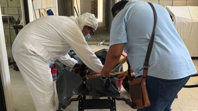 Inicia proceso de vinculación a mujer por asesinar a un perrito en Playa del Carmen