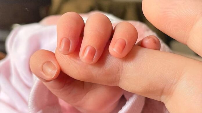 Hallan a bebé de seis meses muerto en una guardería clandestina de Nuevo León