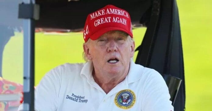 Donald Trump declara a seis cárteles de México como terroristas; además Elon Musk quiere atacarlos con drones.