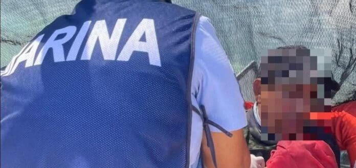 Pescador fue atacado por un tiburón en la zona de Banco Chinchorro en Quintana Roo, Resultó lesionado en una pierna.