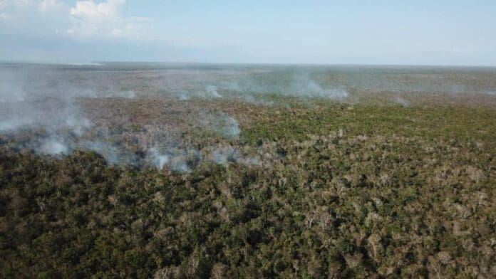 Fuego fuera de control en Uxuxubi: señalan omisiones en obra del Tren Maya