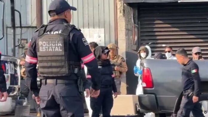 Detienen a hombre por presuntamente vender carne de perro en Edomex; rescatan a más de 100 canes