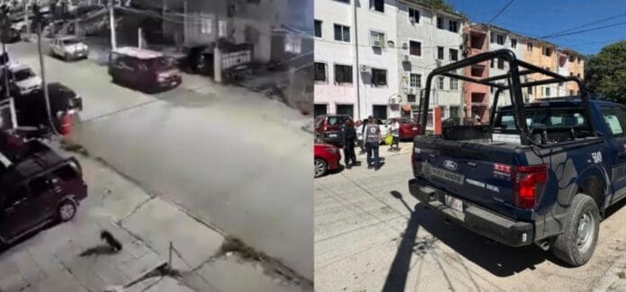 Un sujeto arrojó a una perrita de un tercer piso en Cancún. Decenas de ciudadanos enfurecidos exigen justicia.