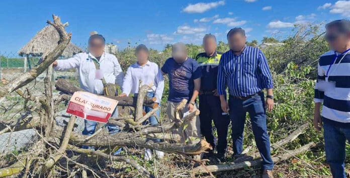 Tras devastación de casi 13 mil metros de manglar, Profepa frena ecocidio en Yucatán