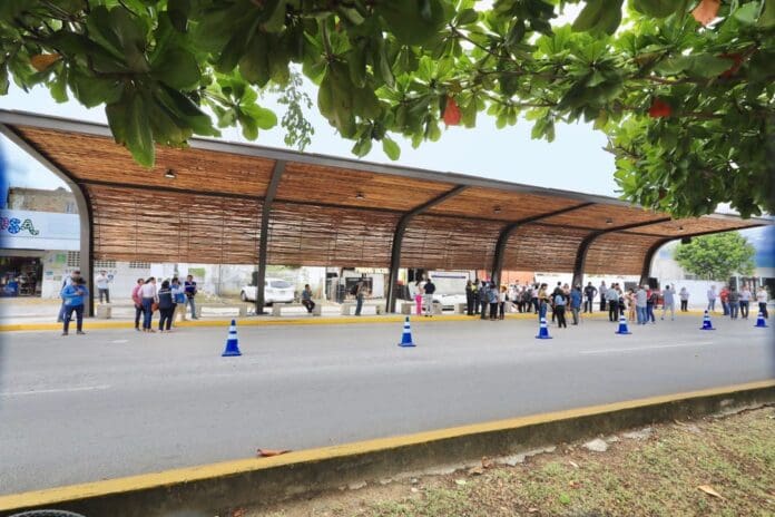 Empresa inicia reparación de 59 paraderos concesionados en Playa del Carmen