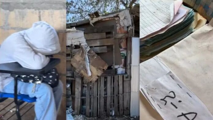 Denuncian condiciones precarias en escuela secundaria de Chiapas; hay hasta serpientes