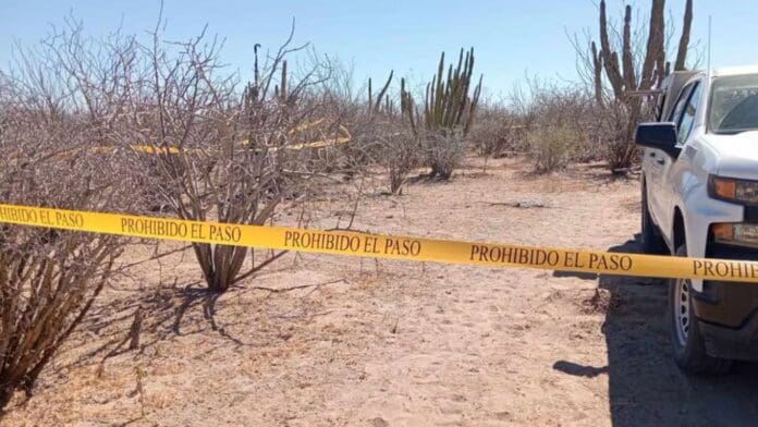 Hallan tres crematorios clandestinos en Jalisco; pertenecen al CJNG