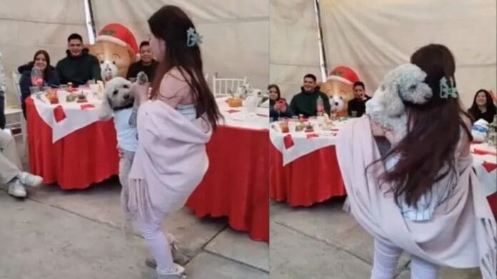 Video: Perrito se escapa de su casa y se cuela a la fiesta del vecino, en México