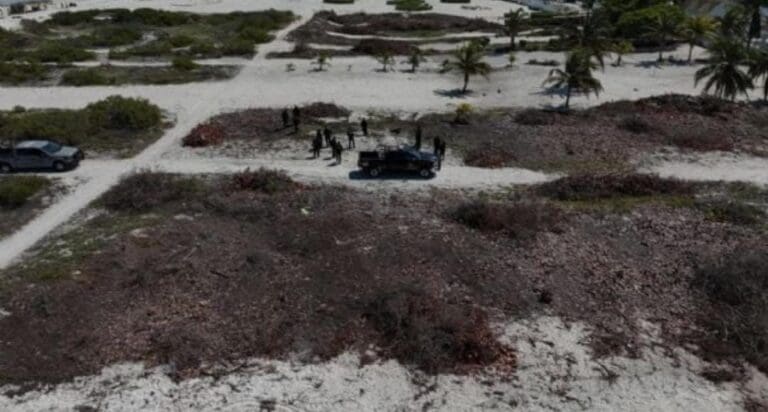 Detendrán a quienes talaron 2.3 hectáreas de mangle en Sisal, Yucatán, advierte la titular de la Semarnat.