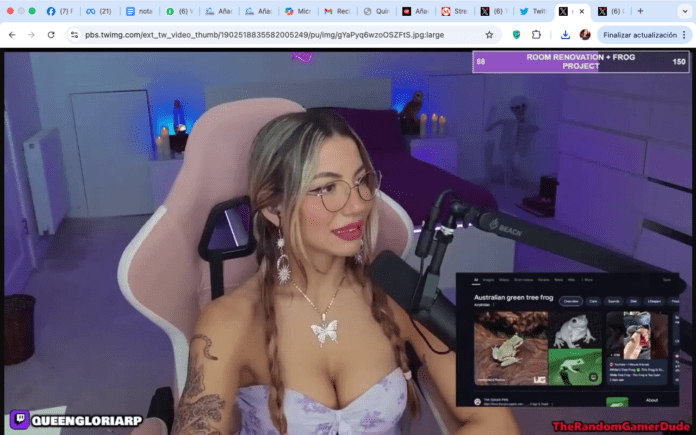 Streamer muestra sin querer app para aumentar sus espectadores y Twitch la cancela