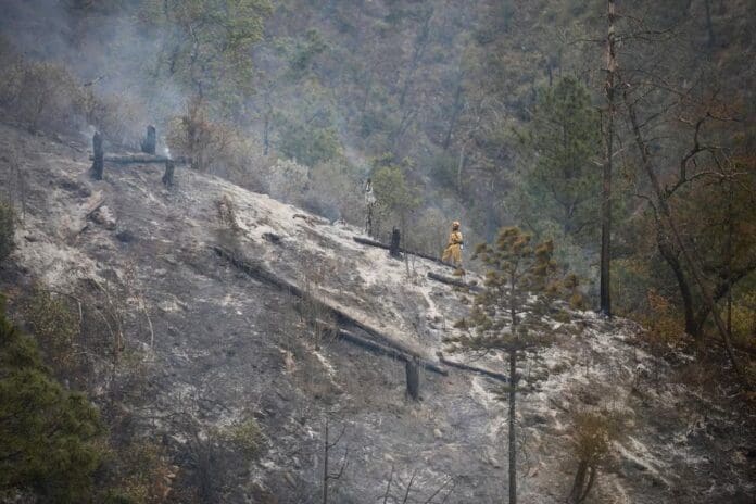 Video: Mueren 12 personas tras volcadura de camioneta en carretera de Nuevo León