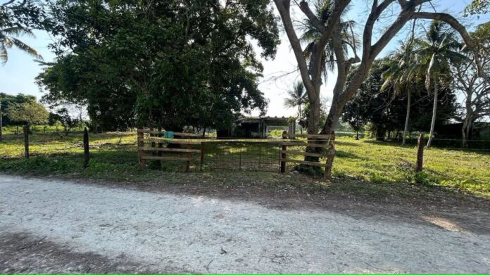 Hallan fosas clandestinas en rancho de Macuspana, Tabasco