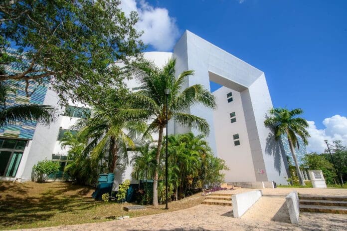 Proyecto de investigación en Campus Playa del Carmen gana financiamiento del COQHCyT