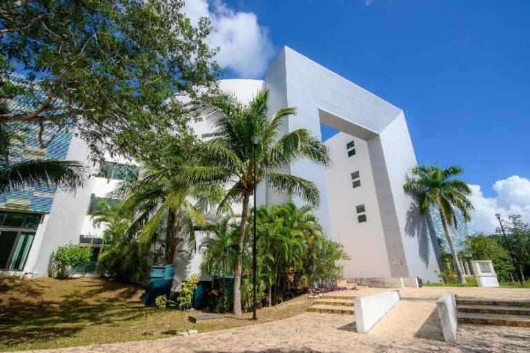 Proyecto de investigación en Campus Playa del Carmen gana financiamiento del COQHCyT