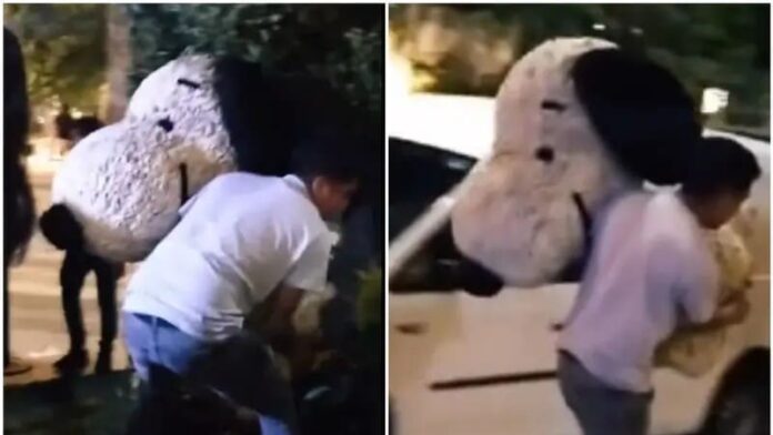 Video: Sujeto roba Snoopy del Festival de Flores en Polanco, CDMX