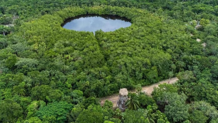 Incumple Mota Engil compromisos con comunidad de Uxuxubi en tramo del Tren Maya