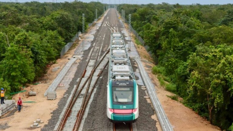 Semarnat retirará malla de vías y cenotes del tramo 5 del Tren Maya en Playa del Carmen