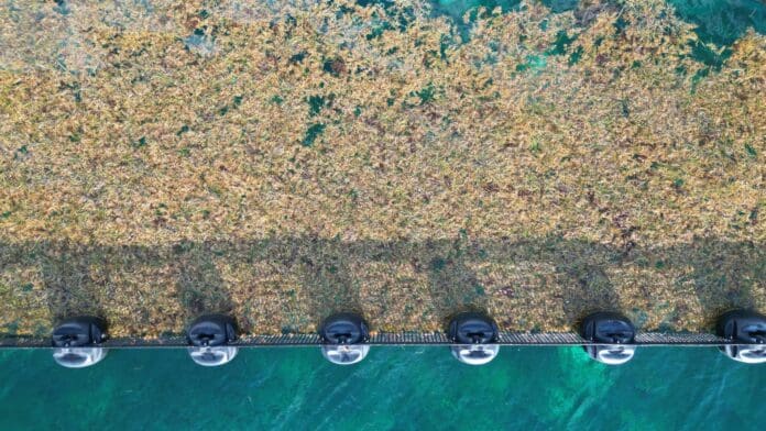 Arranca la gobernadora Mara Lezama trabajos para la temporada de arribo de sargazo a las costas de Quintana Roo.