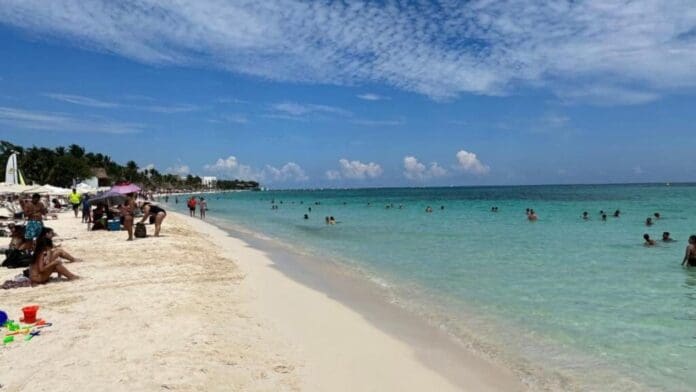 Gobierno de Playa del Carmen aclara que no hay permisos de construcción en Playa Mamitas