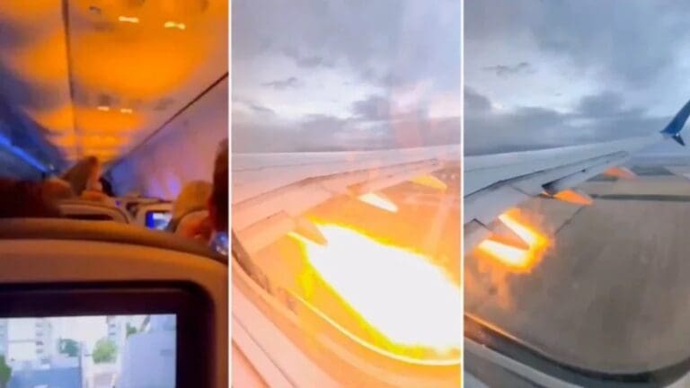 Video: Avión se incendia luego de que un conejo fuera succionado por el motor en Estados Unidos
