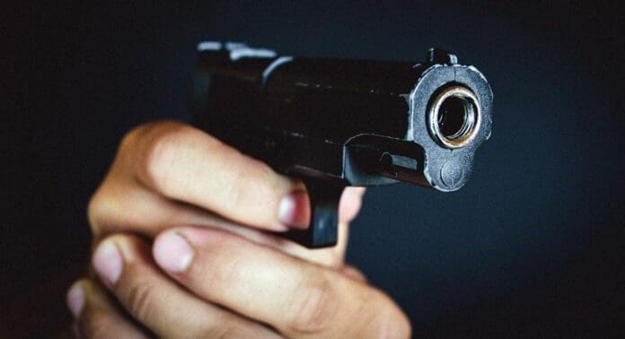 Diputados aprueban una reforma para que los empleados de CFE, Pemex, SAT y otras dependencias puedan portar armas.