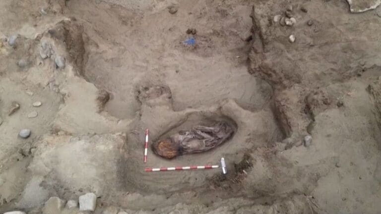 Video: Descubren restos de mujer que habría pertenecido a una civilización antigua en Perú