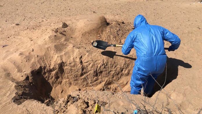 Hallan 44 restos óseos en el Rancho ‘El Guamúchil’ de Ixtlahuacán, Colima