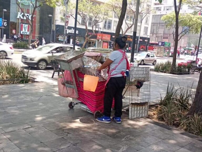 VIDEO: Captan a vendedora hirviendo elotes con agua de riego en CDMX