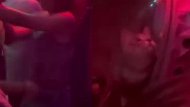 Video: Denuncian a joven por llevar a su gato a un bar dentro de una mochila en Tlalnepantla, Edomex