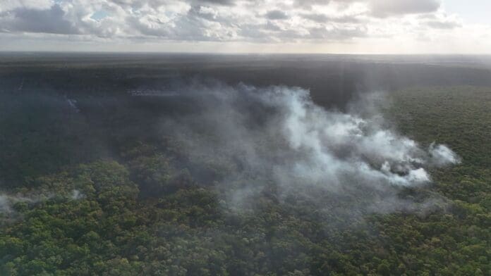 Liquidan incendio forestal en Playa del Carmen; 435 hectáreas resultaron afectadas
