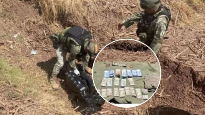 Militares encuentran maleta con 2.1 millones de pesos en una parcela agrícola en Sinaloa