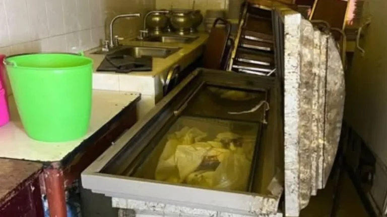 Hallan ataúdes usados como hieleras en fiesta clandestina en CDMX