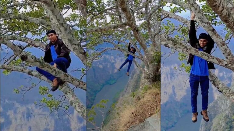 Video: Por likes, Youtuber se cuelga de un árbol ubicado a la orilla de un acantilado en el Cañón del Sumidero