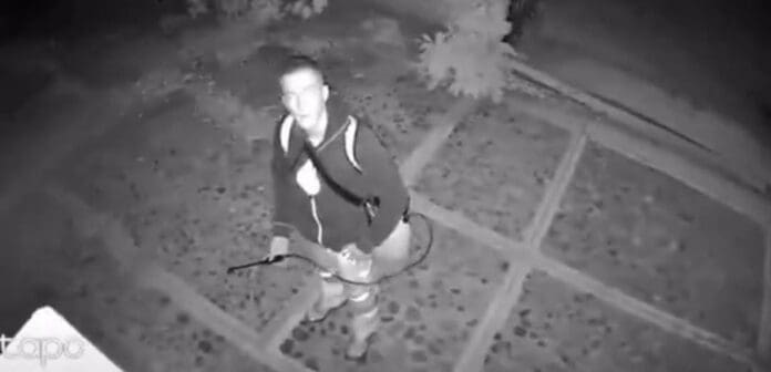 Buscan en Oaxaca a un sujeto extranjero que arrojó ácido a dos perros. Se sabe que es originario de Francia.