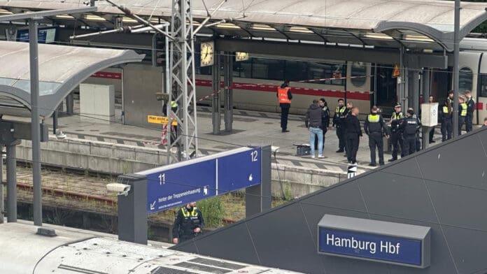 Apuñalamiento múltiple en Hamburgo, Alemania: la sospechosa salió del psiquiátrico antes del ataque
