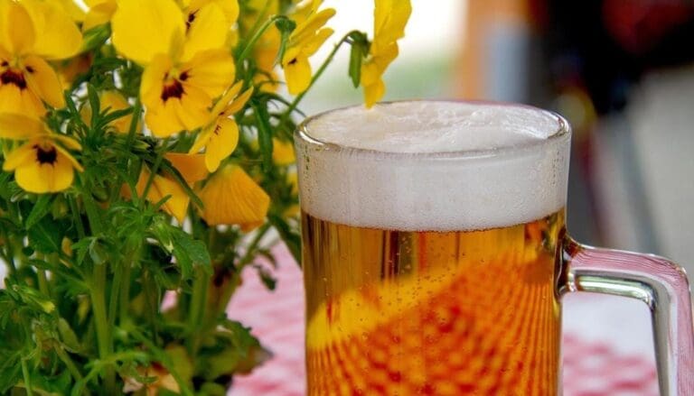 Confirman la ley seca en todo Quintana Roo por la elección judicial; prohibición inicia el primer minuto del sábado.