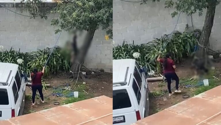 Mujer ahorca a perrito con una cuerda en Tulancingo, Hidalgo