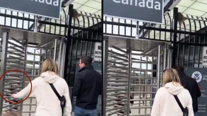 Video: Niño juega con los torniquetes de la frontera y queda atrapado en Canadá