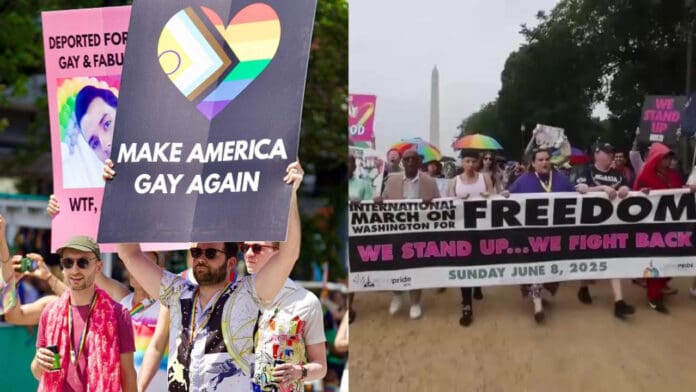 Marcha del orgullo gay se vuelve protesta contra Donald Trump en Estados Unidos