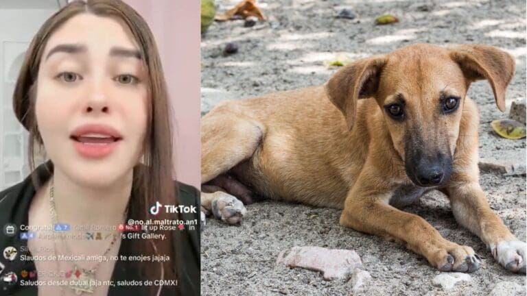 Video: Funcionaria de Guadalajara, Jalisco confiesa haber sacrificado a un perrito en ritual de santería